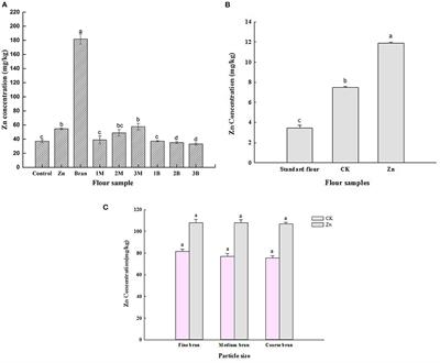 Effect of Zn-Rich Wheat Bran With Different Particle Sizes on the Quality of Steamed Bread